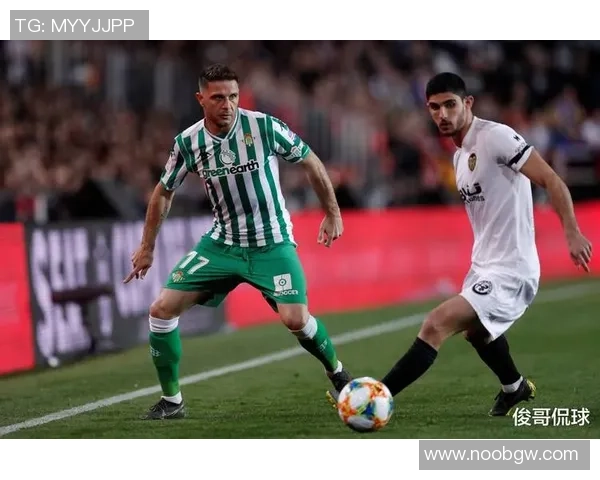 2023年度捷克足球球星表现盘点与赛场风采全景解析