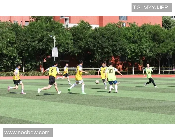 绿茵场上闪耀的足球星风采与拼搏精神故事